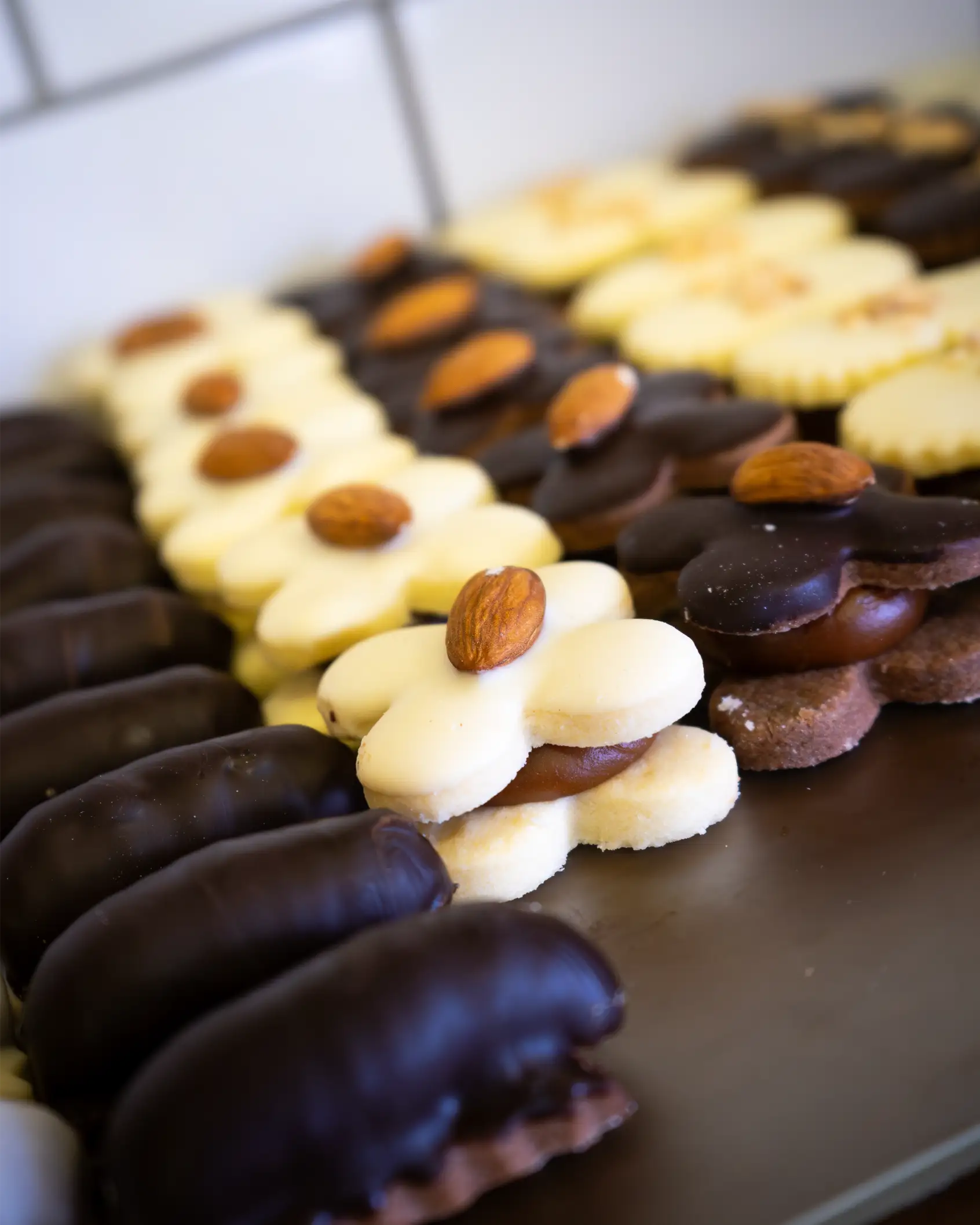 TANTE RG 301124 (56)